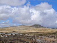 FalklandIsland／MalvinasIsland 福克兰群岛（马岛）85