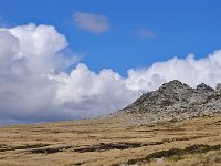 FalklandIsland／MalvinasIsland 福克兰群岛（马岛）87