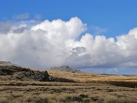 FalklandIsland／MalvinasIsland 福克兰群岛（马岛）89