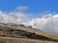 FalklandIsland／MalvinasIsland 福克兰群岛（马岛）90