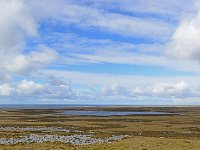 FalklandIsland／MalvinasIsland 福克兰群岛（马岛）96