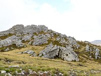 FalklandIsland／MalvinasIsland 福克兰群岛（马岛）99