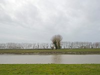 DSC 1936's