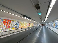 DSC 2680's