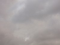 DSC 7491''