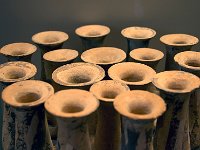 DSC 6572's