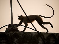 Khajuraho