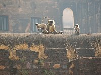 RajaMahal JahangirMahal