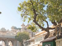 Udaipur