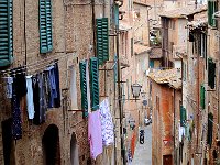 Siena 斯也那（2009）