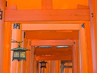 Fushimi Inari-taisha Shrine 伏见稻荷大社