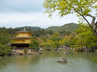 Kinkakuji Temple 金阁寺