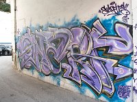 DSC 5719's