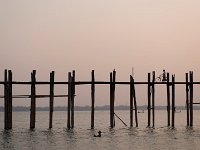DSC 1631's