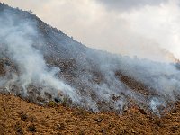 Views on Road 车窗外的景象