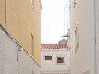 DSC 8777539's