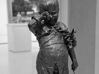 DSC 6524s