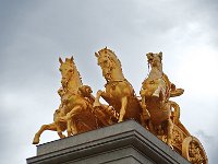 DSC 6714s