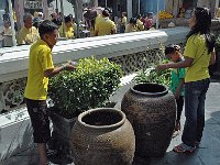 Bangkok 曼谷28