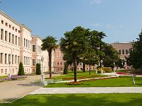 Dolmabahce Palace 新皇宫12