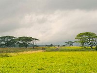 DSC 2933''s