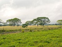 DSC 2937's