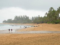 DSC 2972's