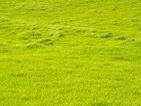 DSC 2572''s