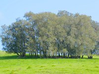 DSC 2592's