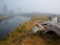Alaska 阿拉斯加18s