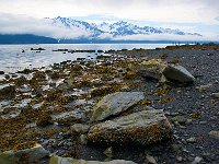 Alaska 阿拉斯加28s
