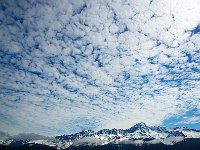 Alaska 阿拉斯加29s