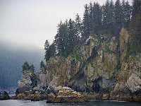 Alaska 阿拉斯加31s