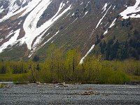 Alaska 阿拉斯加44s