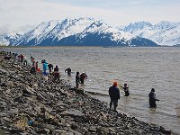Alaska 阿拉斯加51s