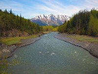 Alaska 阿拉斯加52s