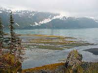 Alaska 阿拉斯加57s