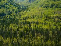 Alaska 阿拉斯加5s
