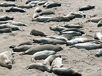California 加利福尼亚13