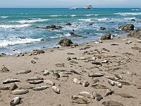 California 加利福尼亚14‘