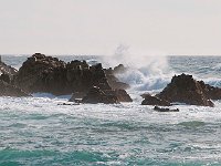 California 加利福尼亚17