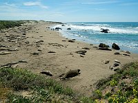 California 加利福尼亚24