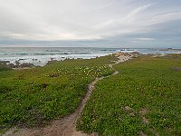 California 加利福尼亚38