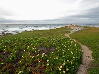 California 加利福尼亚39