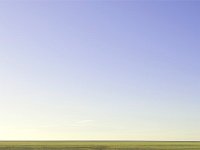 California 加利福尼亚4