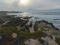 California 加利福尼亚41