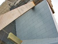DSC 1155s