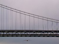 San Francisco 旧金山106