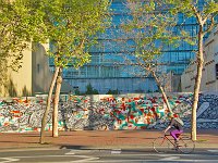 San Francisco 旧金山20