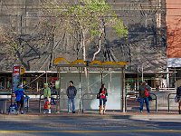 San Francisco 旧金山21